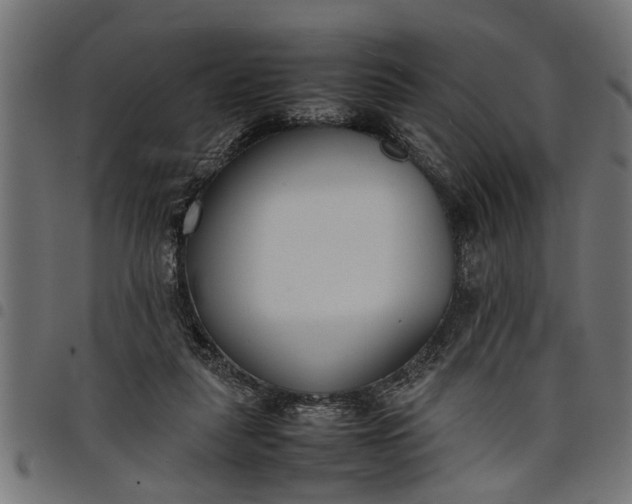 X0000097800259200803281042