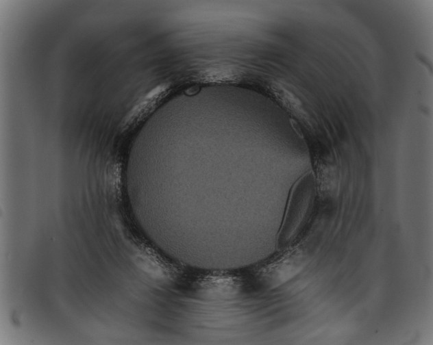 X0000097800260200803281042