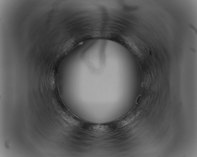 X0000097800261200803281042