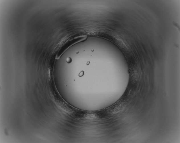 X0000097800262200803281042