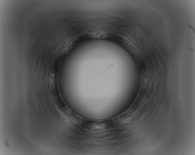 X0000097800263200803281042