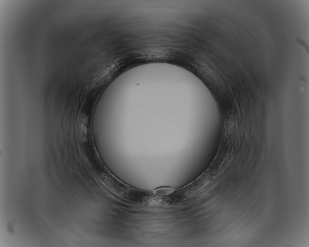 X0000097800264200803281042