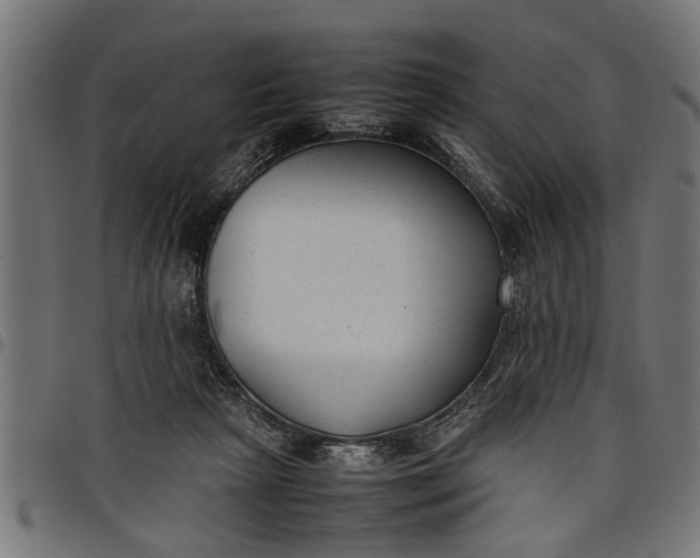 X0000097800265200803281042