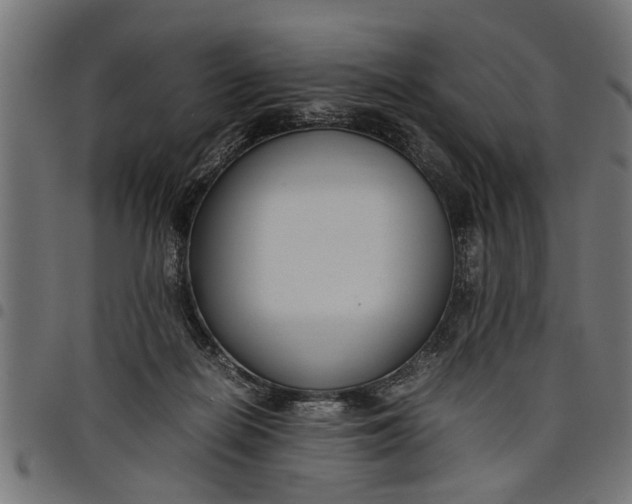 X0000097800266200803281042