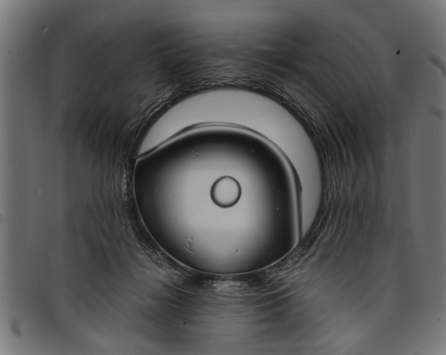 X0000097800268200803281042