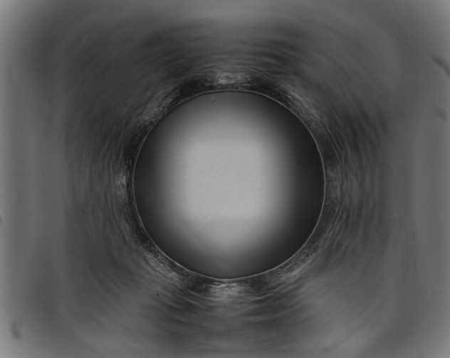 X0000097800269200803281042