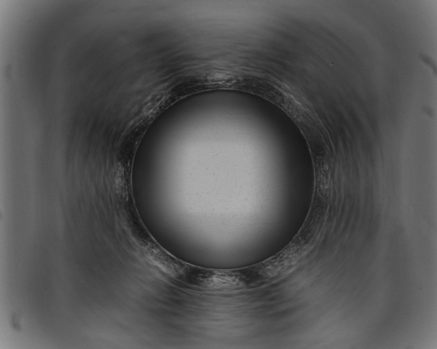 X0000097800270200803281042