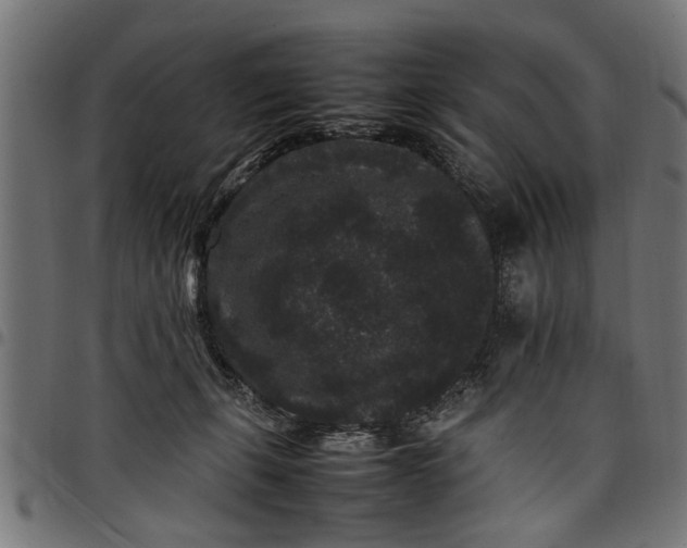 X0000097800271200803281042