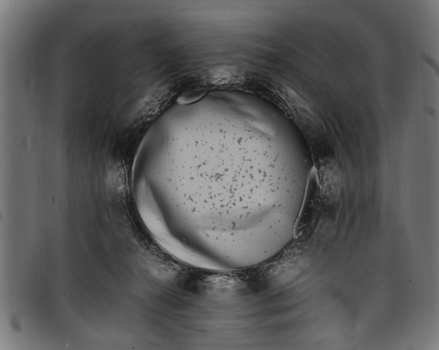 X0000097800272200803281042