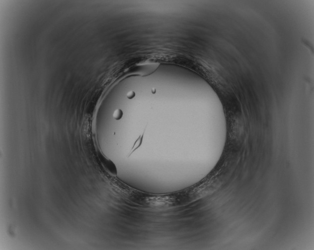 X0000097800273200803281042