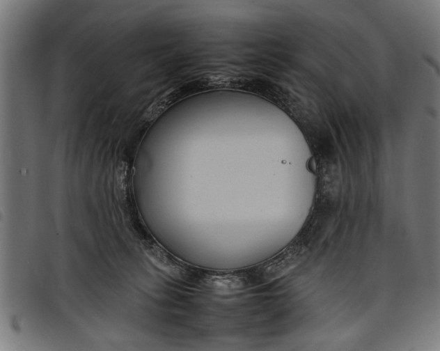 X0000097800275200803281042