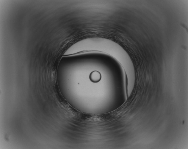 X0000097800276200803281042