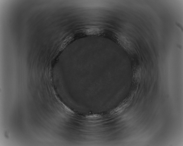 X0000097800277200803281042