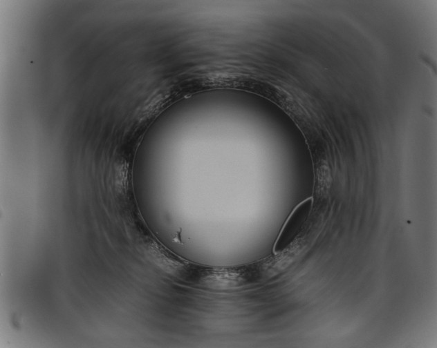 X0000097800278200803281042