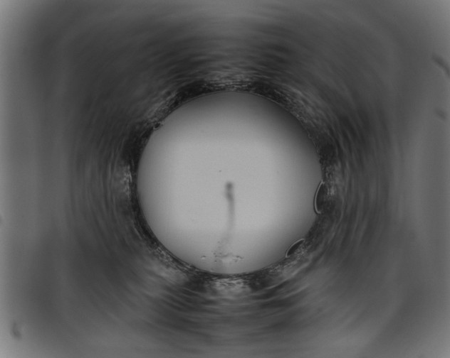 X0000097800279200803281042