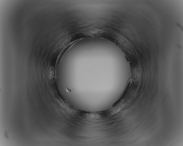 X0000097800284200803281042