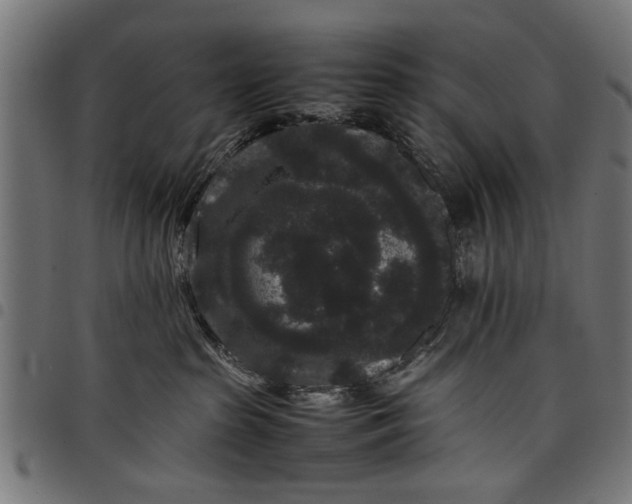 X0000097800285200803281042