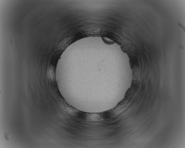 X0000097800287200803281042