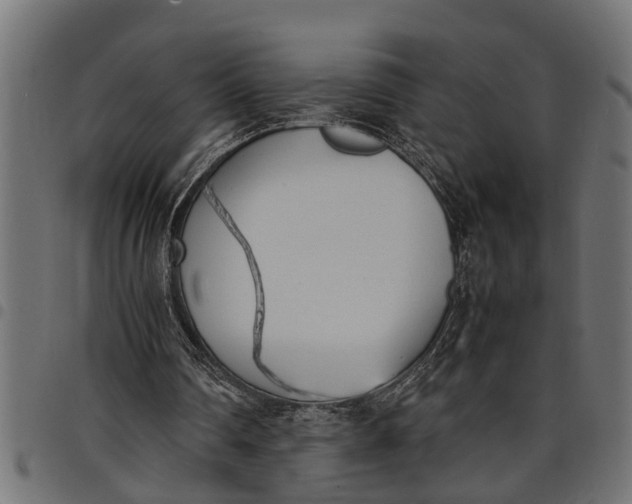 X0000097800290200803281041