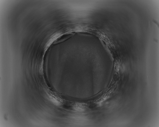 X0000097800292200803281041