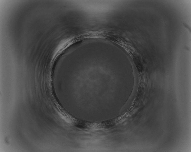 X0000097800293200803281041