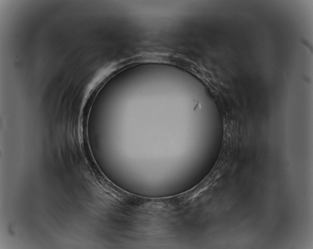 X0000097800294200803281041