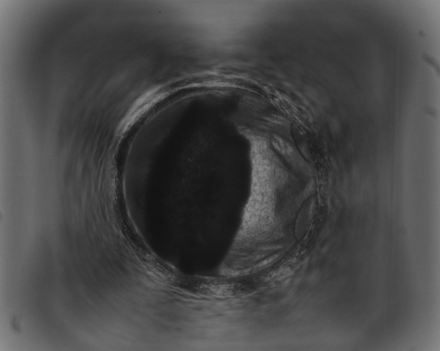 X0000097800295200803281041