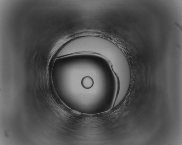 X0000097800296200803281041