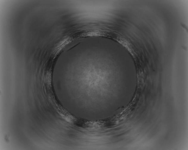 X0000097800297200803281041