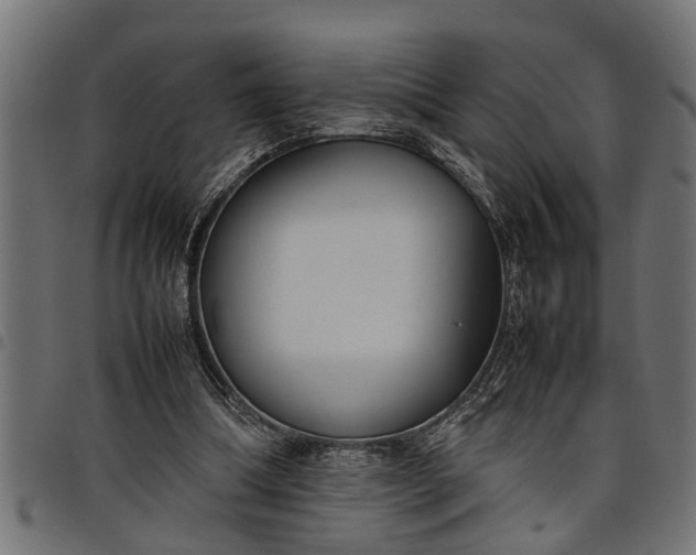 X0000097800298200803281041