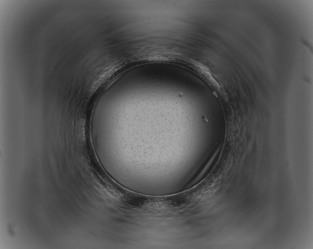 X0000097800299200803281041