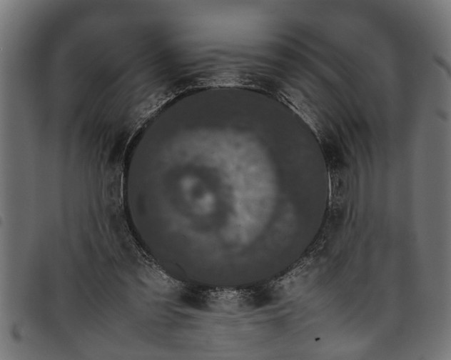 X0000097800301200803281041