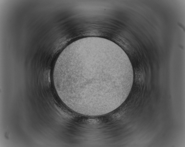 X0000097800302200803281041