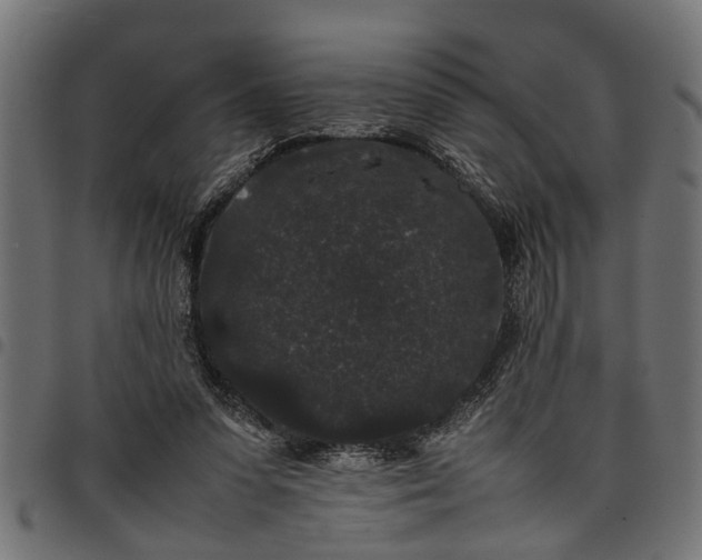 X0000097800303200803281041