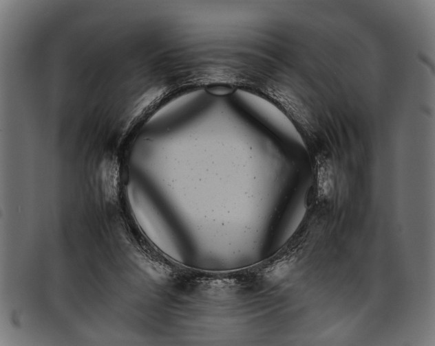 X0000097800304200803281041