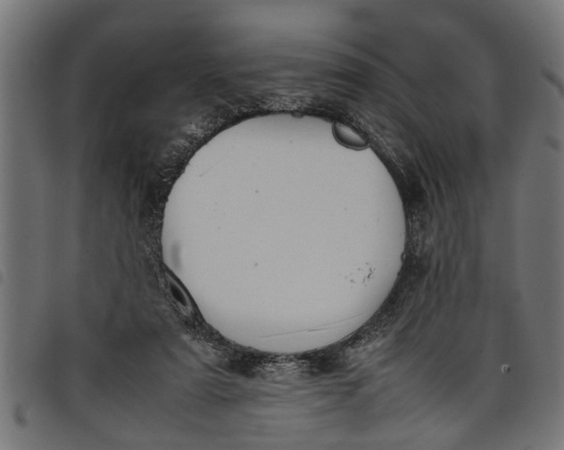 X0000097800307200803281041