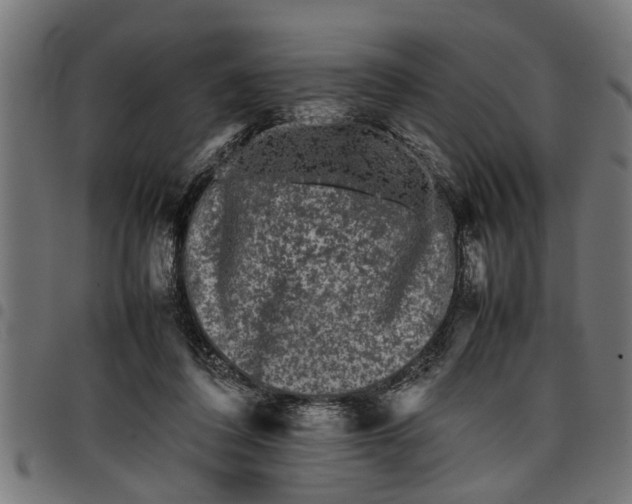 X0000097800308200803281041