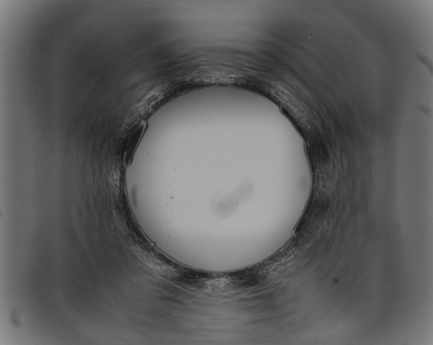 X0000097800309200803281041