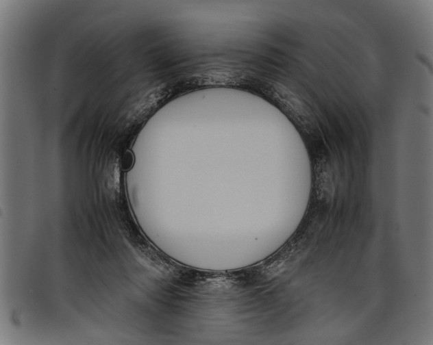 X0000097800310200803281041