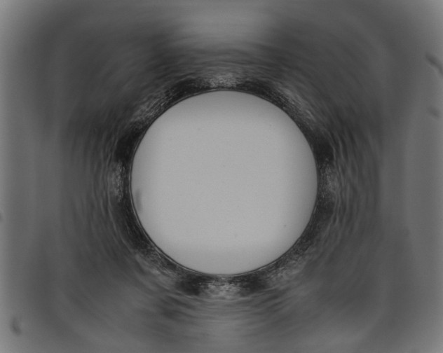 X0000097800311200803281041