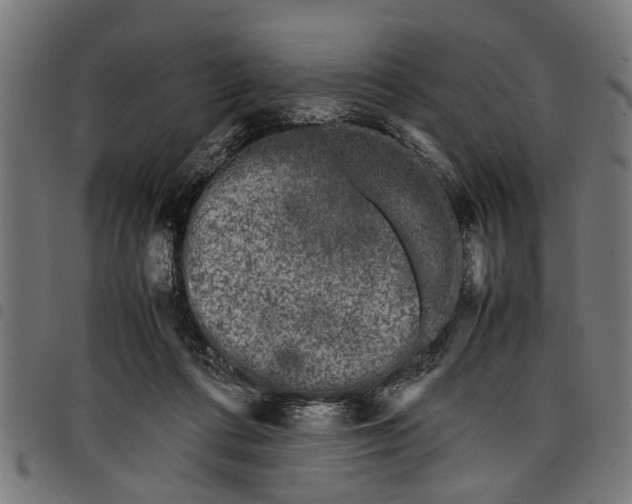 X0000097800312200803281041