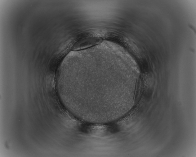 X0000097800313200803281041