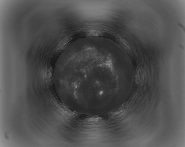 X0000097800314200803281041