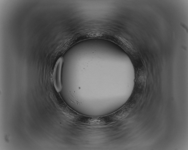 X0000097800315200803281041