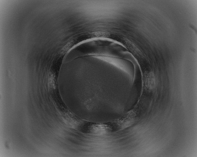 X0000097800316200803281041