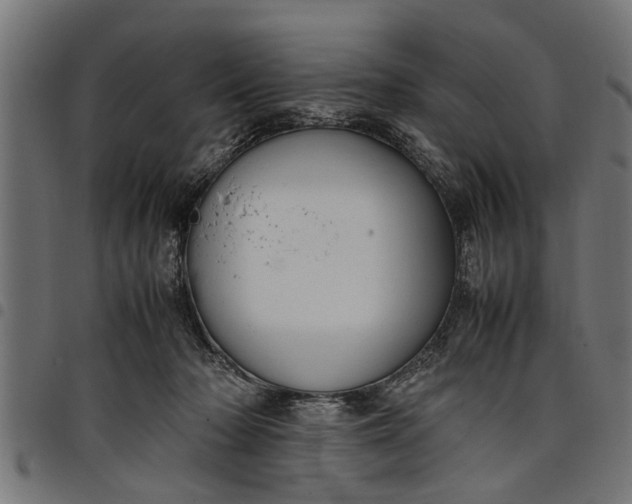 X0000097800318200803281041