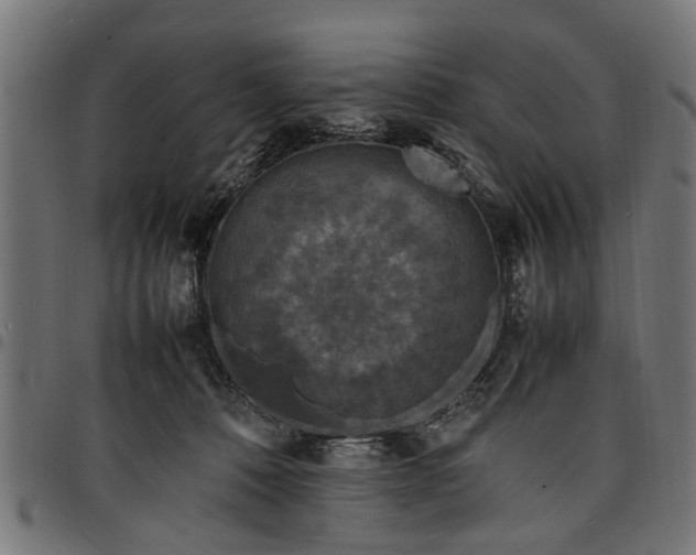 X0000097800320200803281041