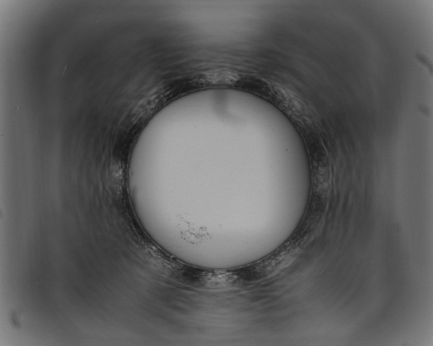 X0000097800321200803281041