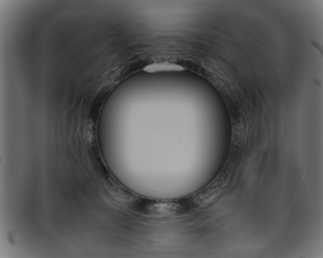 X0000097800323200803281041