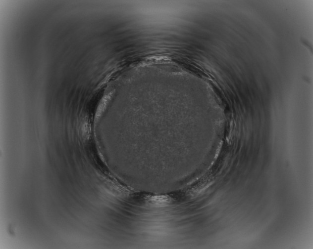 X0000097800324200803281041